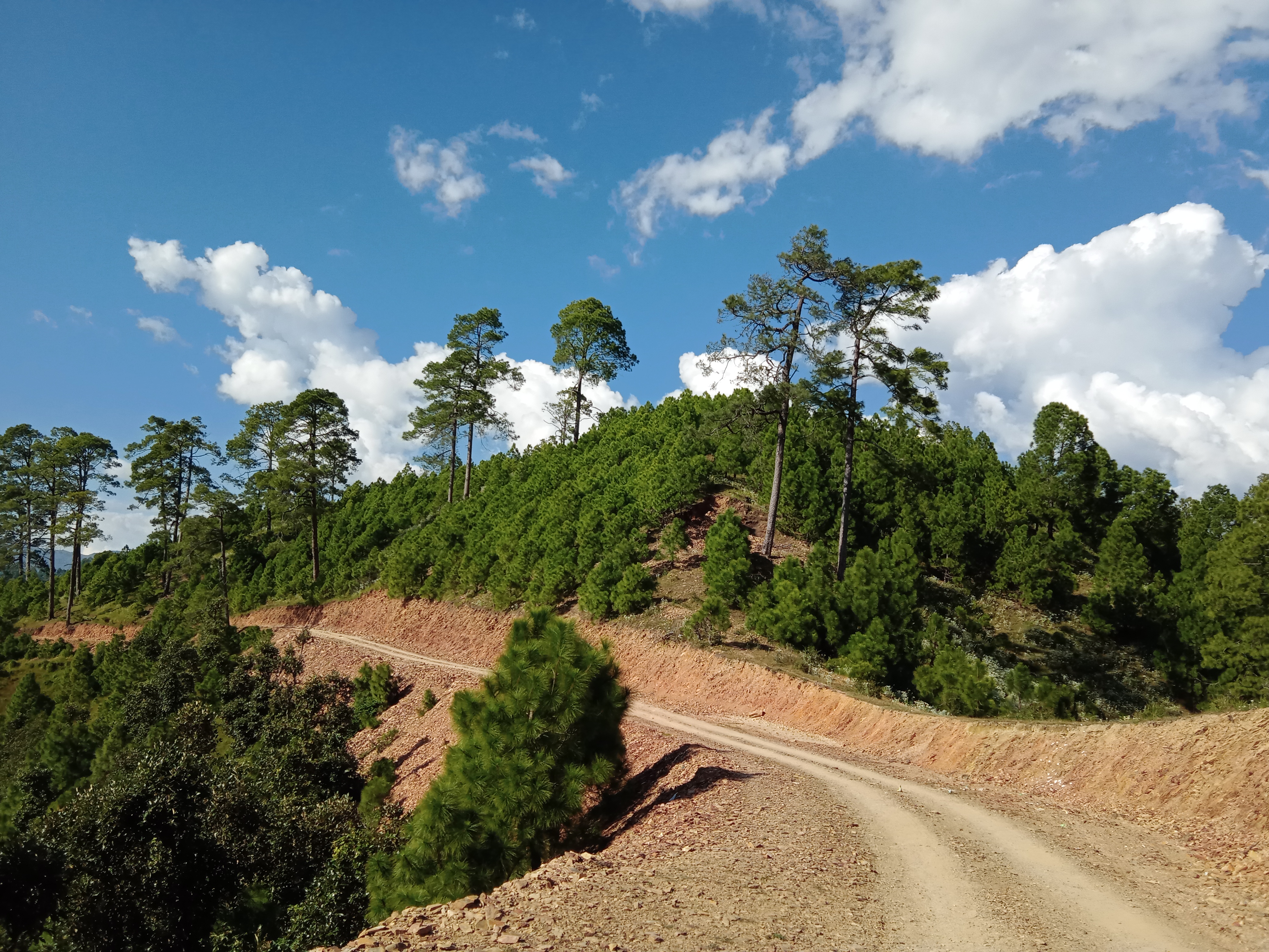 ghumgham (1).jpg